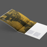 Women of the Welfare Landscape