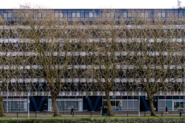 Bristol Amble 11/10/25