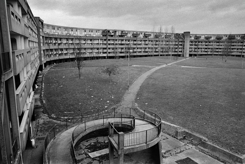 Hulme Habitats - with Emma Coop, Richard Davis and Lucy Marshall